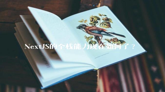 NextJS的全栈能力现在如何了?