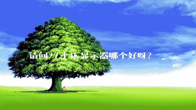 请问27寸4K显示器哪个好呀？