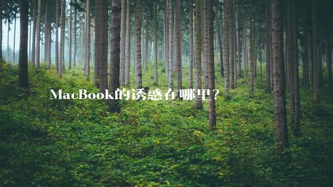 MacBook的诱惑在哪里？