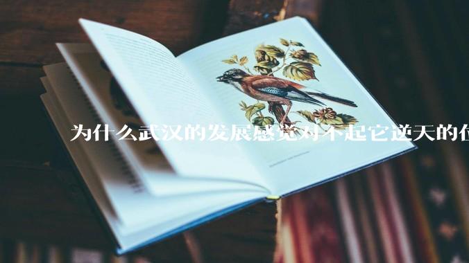 为什么武汉的发展感觉对不起它逆天的位置？